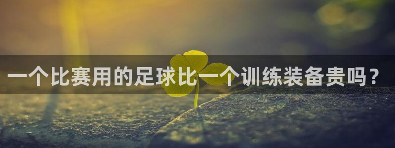 巅峰国际注册：一个比赛用的足球比一个训练装备贵吗？