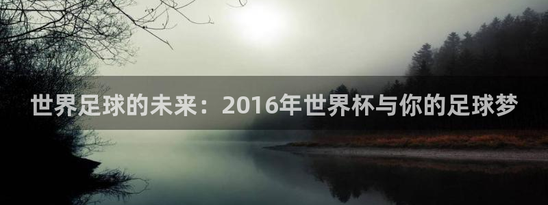 巅峰国际app下载官方网站：世界足球的未来：2016年世界杯与你的足球梦