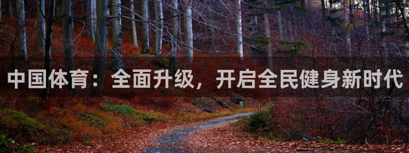 决胜巅峰国际服叫啥：中国体育：全面升级，开启全民健身新时代