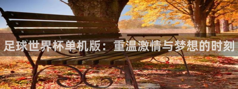 pg巅峰国际com：足球世界杯单机版：重温激情与梦想的时刻