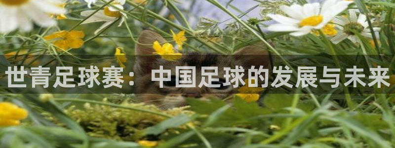 巅峰国际pg下载入口：世青足球赛：中国足球的发展与未来