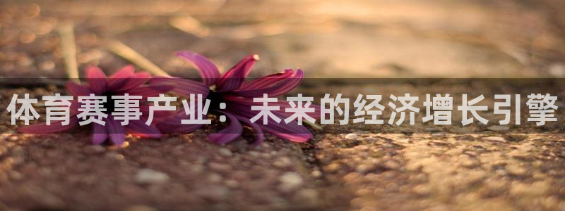 决胜巅峰国际版下载：体育赛事产业：未来的经济增长引擎