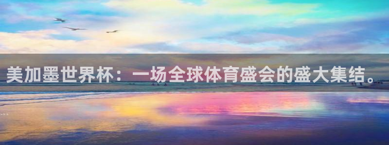 巅峰国际链接：美加墨世界杯：一场全球体育盛会的盛大集结。